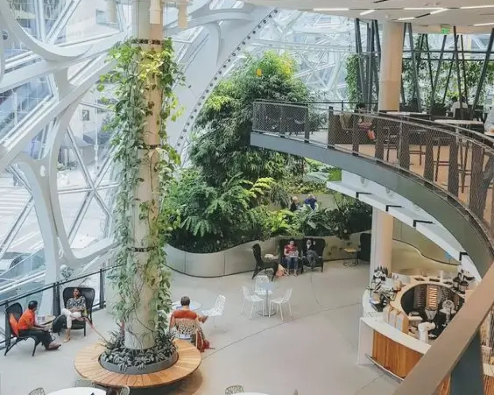 commercialproject1
